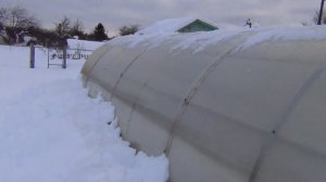 ОТКРЫВАТЬ ИЛИ ЗАКРЫВАТЬ ТЕПЛИЦЫ НА ЗИМУ