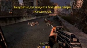 Сталкер Тайные тропы 2:Ящики для Соломона.