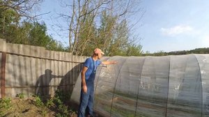 Теплица из стрейч пленки. Плюсы и минусы