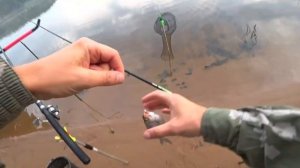 #2. РЫБАЛКА НА ВОЛГЕ / ЛОВЛЮ НА ФИДЕР / 2021