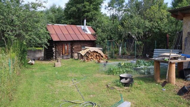НЕ ДУМАЛ, ЧТО ПОДАРЮ ЖЕНЕ ЭТО! ВОТ Я ПОПАЛ... смотреть онлайн
