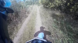 11 сентября Адищево Ляды