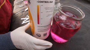 КАКАЯ КУСТОВАЯ ПЕТУНИЯ ЛУЧШЕ?