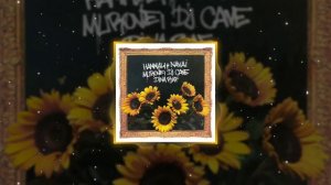 HammAli & Navai, Murovei, DJ Cave, Dina RAF - Подсолнухи
