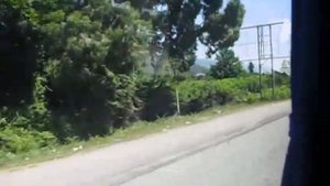 Абхазия экскурсия из Гагра до озера Рица