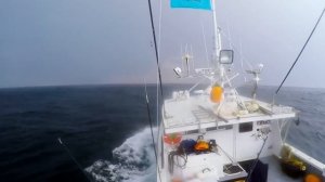 Что будет если молния ударит в реку