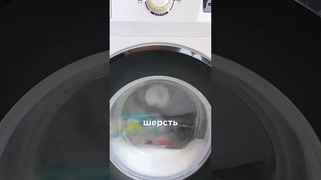 Приспособление для сбора шерсти домашних животных смотреть онлайн