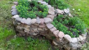 Клумба из речных камней.