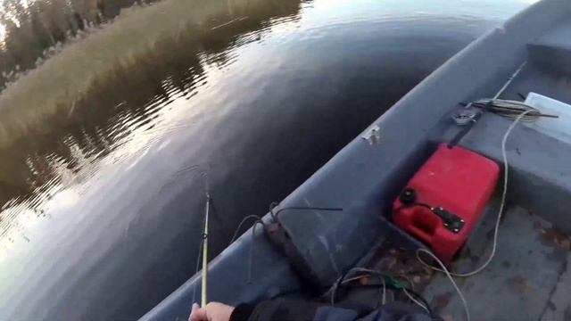 Барышево..., Вуокса..., Рыбалка... 13.10.2022 смотреть онлайн