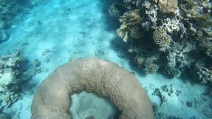 Путешествие и отдых в Иордании/ Как недорого съездить зимой к морю? :)