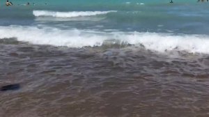 Озеро Балхаш 2018