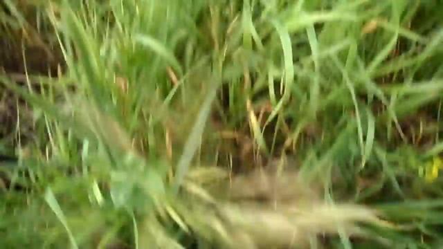 Поиски металлолома смотреть онлайн