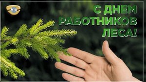 Поздравление с Днем работников лесного хозяйства 2021