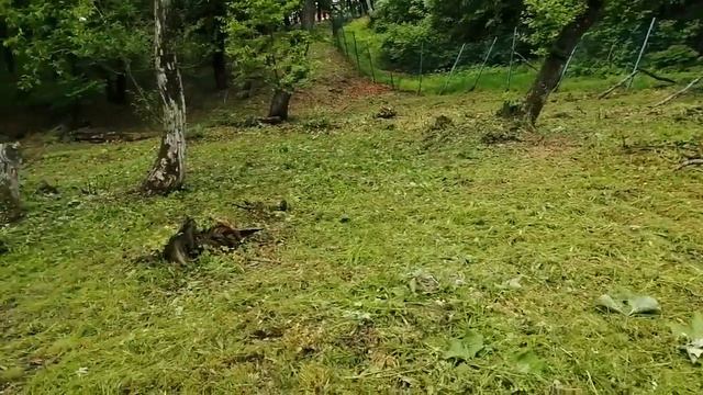 27.05.22.Покос.СВУ лагерь. Обзор после покоса.Заказы по +79241232444 Стороженко Владимир смотреть онлайн