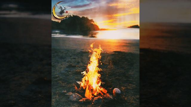 #2024 #New Super Nasheed||#красивыйНашиды|| #2024🎶🎶🎵