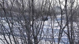 мотособака паксус , пахус , paxus 550 13 л.с.