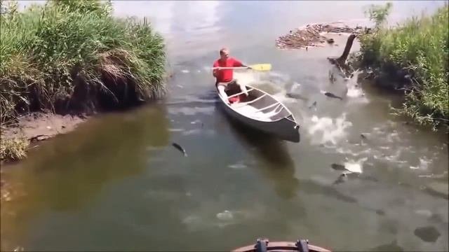 Подборка приколов и неудач на рыбалке...