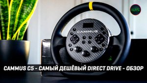 CAMMUS C5 - САМЫЙ ДЕШЁВЫЙ DIRECT DRIVE - ОБЗОР