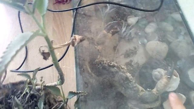 Плакат со сладостями смотреть онлайн