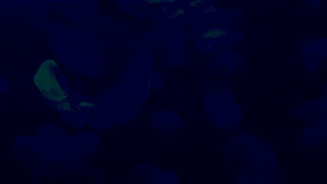 Immersive sleep afloat in a cosmic ocean. Meditate for hours with echoes of life drifting with you. смотреть онлайн