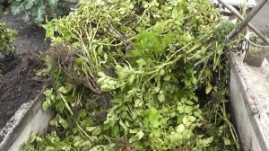 Всё - в компост. Экономим в своем доме - 3 серия. Удобрения.