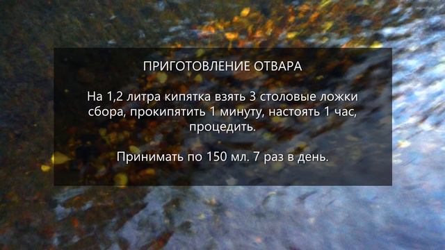 Сбор № 261. При затянувшемся течении цистита и вовлечении мочеточника. смотреть онлайн