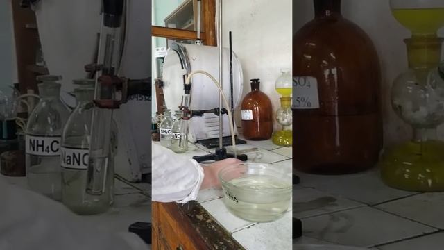Лабораторная работа Азот, опыт 1 часть 1