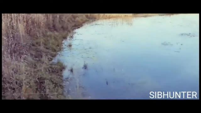 ОХОТА НА БОБРА 2:0 В МОЮ ПОЛЬЗУ смотреть онлайн