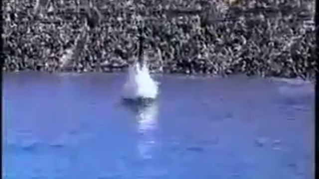 Трюки с дельфином смотреть онлайн