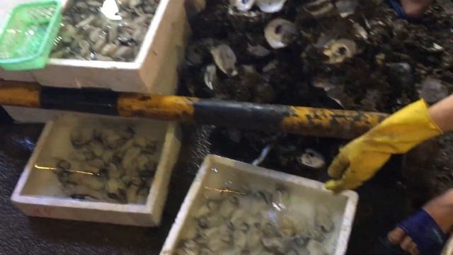 Устрицы в Китае март 2017 смотреть онлайн