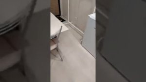 Студия 14 кв.м.