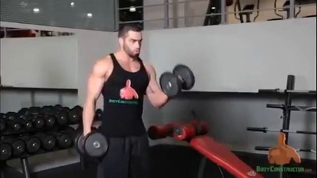Урок от Лазара Ангелова Как качать предплечья и бицепс гантелями1 смотреть онлайн
