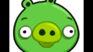 Angry birds Pigs Laughing
