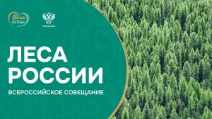Всероссийское совещание «Леса России: основные итоги работы в 2023 году и задачи на 2024 год»