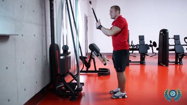 Тяга верхнего блока, тренировка трицепса с Олегом Виноградовым