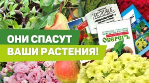 ОБЗОР ПРЕПАРАТОВ - стимуляторы роста и аминокислоты. Помогают даже в самых сложных ситуациях