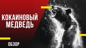 Обзор фильма «Кокаиновый медведь» — Зубодробительная комедия про медведя, который объелся кокаина