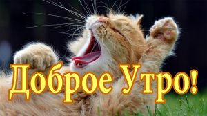 С добрым утром!