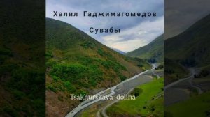 Халил Гаджимагомедов - Сувабы. Цахурские песни 2020г. Дагестан.