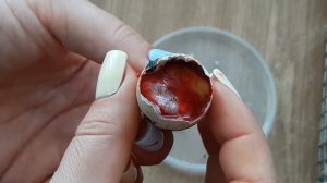 Развитие Эмбриона перепелёнка в яйце 14 сутки/Техасский перепел Хитрук Елена