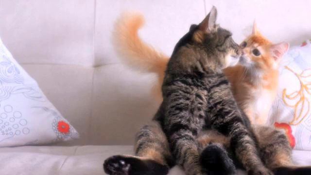 Музыка Европа Плюс. Просто класс! Люблю! смотреть онлайн