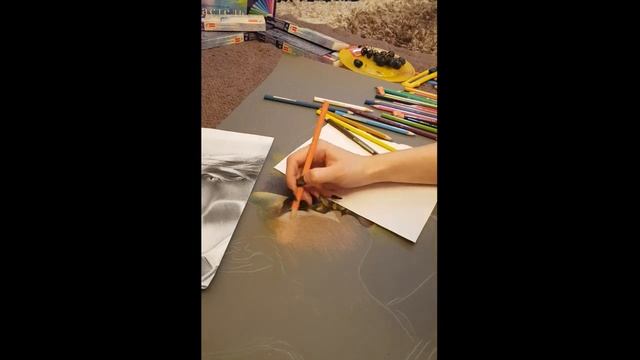 Портрет на свадьбу влюбленной пары смотреть онлайн