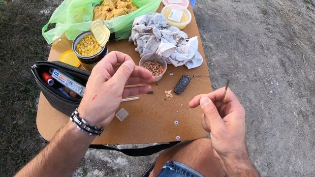 Рыбалка Ловля Карпа На Гороховую Прикормку с Подсадкой Кукурузы Пружины и Макушатники смотреть онлайн