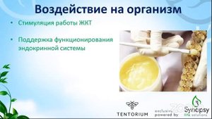 Маточное молочко