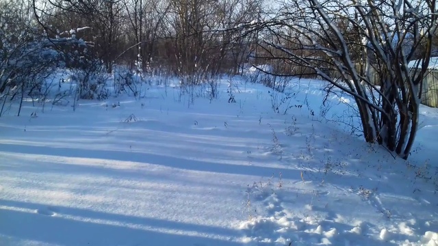 ЗИМНЕЕ УТРО НА ДАЧЕ/ Дачная Жизнь. Харьков 2019 смотреть онлайн