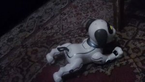 показываю собаку на пульте управления
