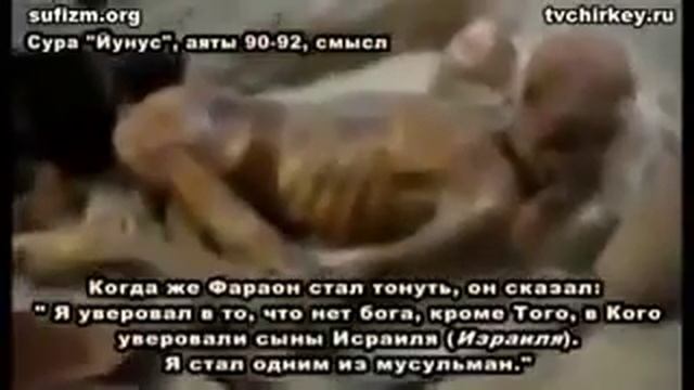 Морис Буке | Фараон, преследовавший Моисея (Пророк Муса)(Мир Ему) открыл для меня Ислам. смотреть онлайн