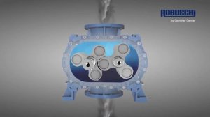 Кулачковые роторные воздуходувки Robuschi: серия RBS