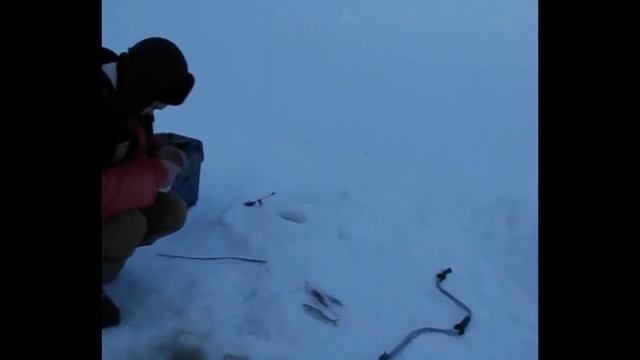 Рыбалка, рыбалка и только рыбалка!Каменка