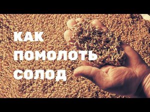 Как молоть солод в домашних условиях